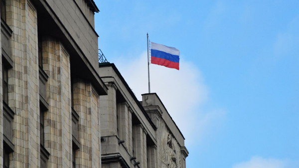 В ГД предложили открыть горячую линию для проверки звонков из банков и ведомств