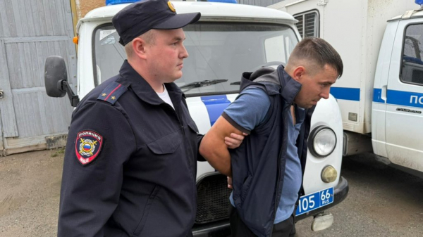 Житель Богдановича пойдет под суд за убийство лебедя-шипуна