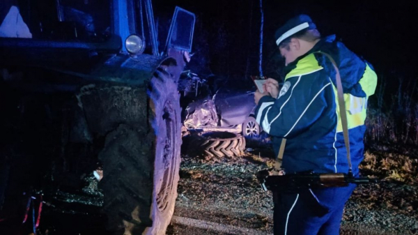 Семья с 4-летним ребенком погибла в ДТП с трактором под Талицей