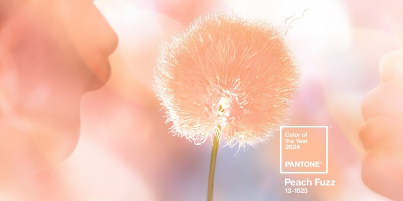 Pantone назвал главный цвет 2026 года &mdash; он символизирует спокойствие