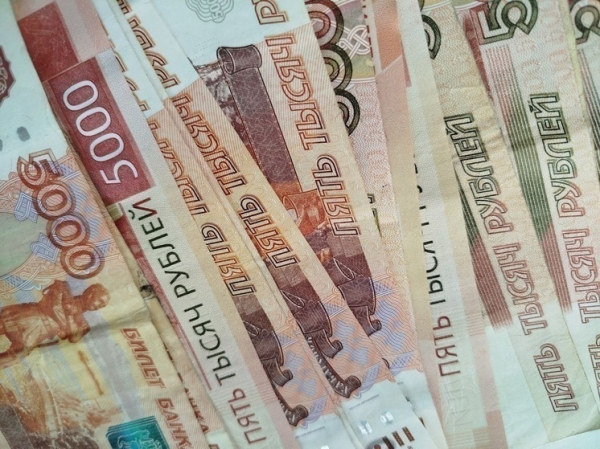 Раскрыта средняя зарплата курьеров в России